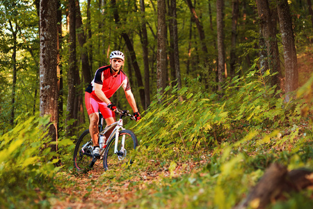 骑自行车的人骑着自行车在木材照片