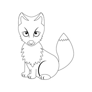 无色滑稽卡通北极狐狸照片