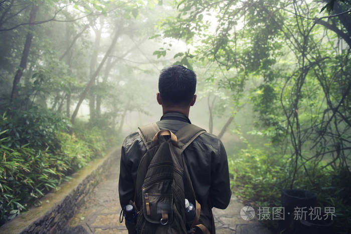 人走在森林与雾自然背景,旅行教导