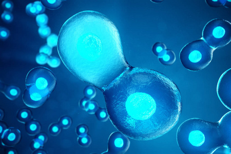 人或细胞在蓝色背景。概念早期胚胎医学的科学概念, 干细胞的研究和治疗。3d 插图