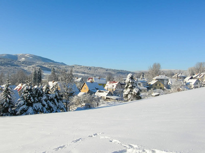 冬季背景.寒冷的树枝上的冬树对蓝天.森林冬天风景场面.冬雪树梢照片