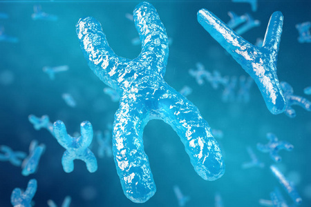 3d 插图 xy 染色体作为人类生物医学符号基因治疗或微生物学遗传学