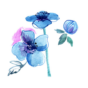 可爱的水彩手绘蓝色的花朵。邀请。结婚卡。生日贺卡