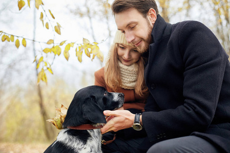 一对爱的情侣在秋季森林公园里和一只猎犬散步。玩狗的乐趣和乐趣, 宠物的最爱。男女宠物狗。家庭漫步自然