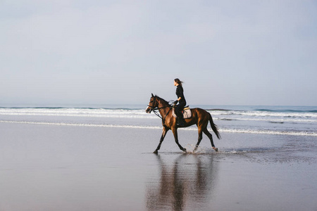 沙滩上年轻女子马术骑马的侧面观