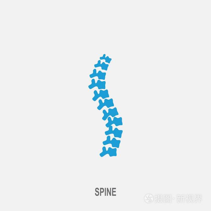 白色背景上的蓝色脊柱诊断符号
