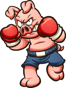 生气的拳击猪照片