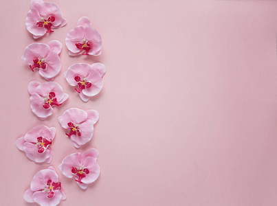 粉红色的背景上玫瑰色兰花花边框。文本的地方