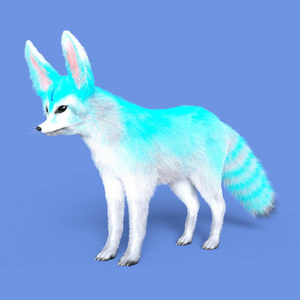 fennec 3d cg 渲染