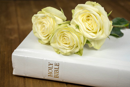 玫瑰和白色圣洁圣经在黑暗的木头天使或丘比特, 小宝贝飞, 给花玫瑰