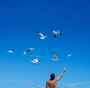 夏天, 人们在明亮的蓝天下喂海鸥。