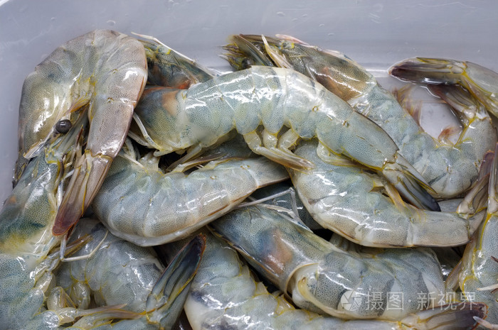 新鲜的生虾, 虾, 海鲜