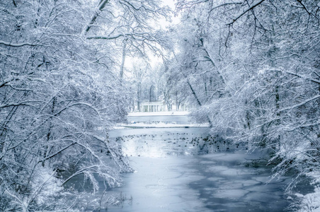 冬季景观与雪覆盖树木和鸭子在湖里