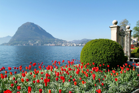 Lugano，瑞士海湾植物园从视图