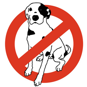 不许进狗禁止狗。严格禁止遛狗, 禁止。停止动物。矢量黑白相间的狗, 白色背景, 孤立