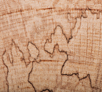 木材，纹理，天然木材背景背景