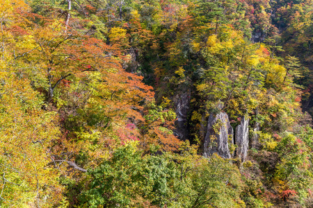 鸣子峡谷在秋天的季节