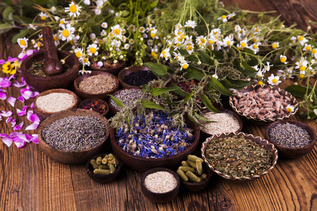 什锦天然药用植物照片