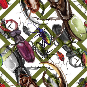 一种水彩风格的奇异甲虫野生昆虫图案