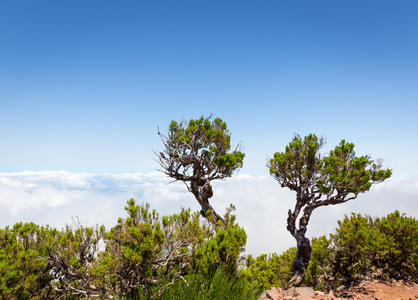 美丽的马德拉山风景