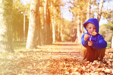 小男孩看着树叶在秋天