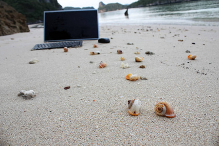 在海滩上计算机
