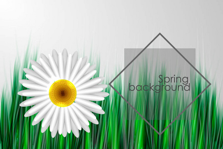 春天背景与花和地方为文本。矢量插图