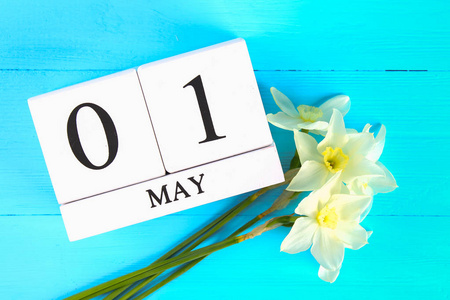 劳动节日历白色木制日历与文本: 5月1日蓝色木桌上的水仙花白色花朵