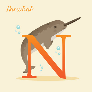 动物字母表与独角鲸