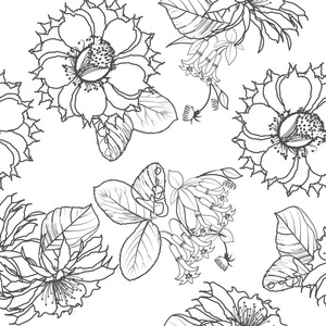 异国花卉和热带树叶的黑白花饰无缝图案壁纸背景为纺织品的英语风格印刷。矢量插图