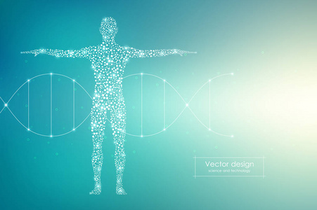 矢量人体与分子 Dna。医学科技理念