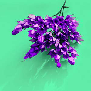 蓝色的紫色热带花。最低时尚