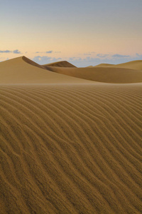 大加那利岛马斯帕洛马斯沙丘的波纹和光滑的沙子