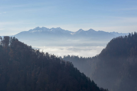 波兰 Pieniny 山晨雾