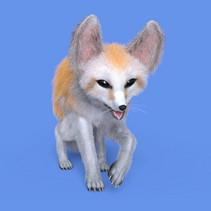 fennec 3d cg 渲染