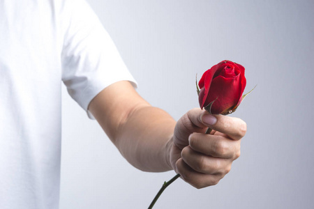 男人给花玫瑰图片