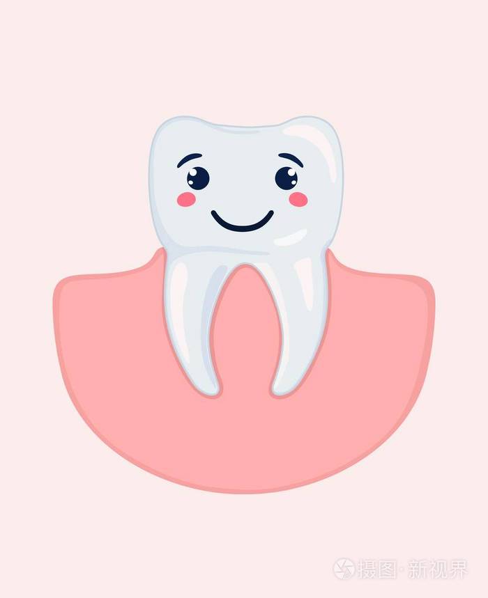典型的臼齿的健康外观.矢量插图插画-正版商用图片0fx5sn-摄图新视界