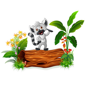 卡通搞笑环尾狐猴在树上照片