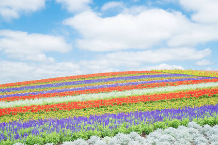 北海道风景图片 北海道风景素材 北海道风景插画 摄图新视界 北海道风景图片 北海道风景素材 北海道风景插画 摄图新视界