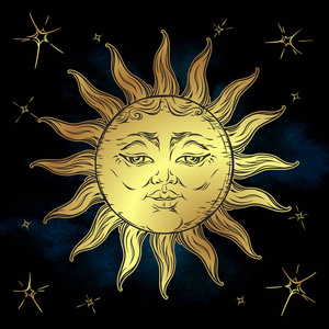 金太阳蜜瓜图片