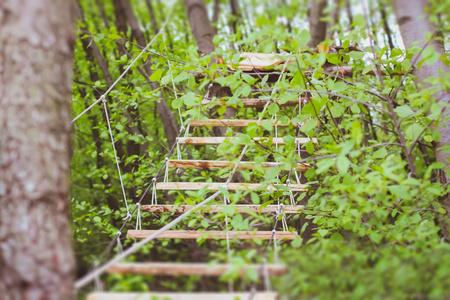 在绿色的森林公园中的木楼梯图片