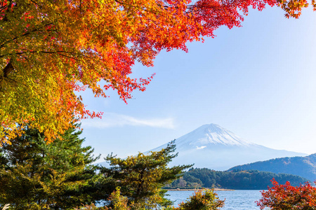 河口湖和秋天的富士山