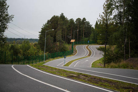 绿色公园的道路