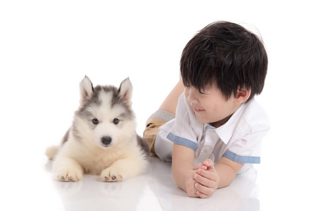 可爱亚洲男孩，西伯利亚哈士奇犬的小狗躺在