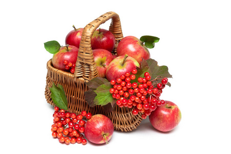 红苹果和荚蒾浆果在白色背景上的篮子里