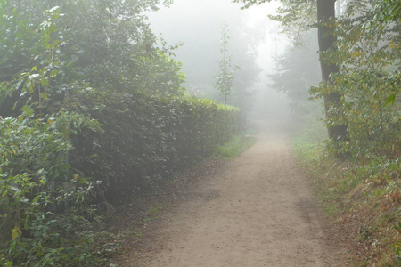 轮椅上道路通过 Kruisbergse Bossen