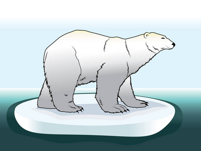 卡通北极动物图片