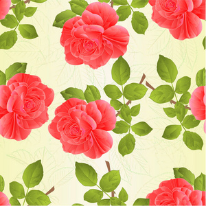 无缝纹理玫瑰粉红色和叶子复古自然背景矢量插图可编辑手绘手画
