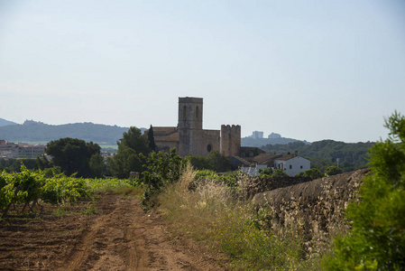 关于藨, Garraf, 巴塞罗那, 加泰罗尼亚城市的看法