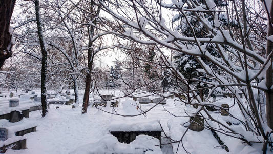 在生活中的雪